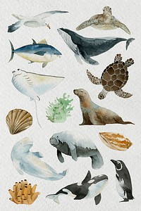 Animals from the sea in watercolor set vector