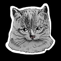 Hand drawn gray cat sticker illustration