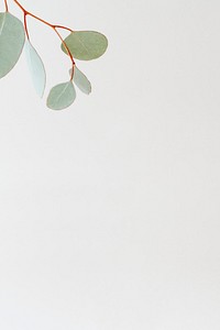 Green branch on white social template