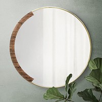 Circular mirror with a wooden backdrop mirroring fiddle-leaf fig on a green wall mockup