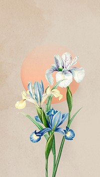 Blooming Spanish iris flower mobile screen background illustration
