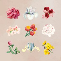 Colorful flower set on a beige background vector