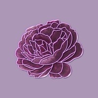 Purple neon rose on a purple background vector