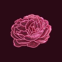 Red neon rose on a black background vector