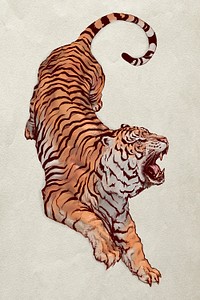 Hand drawn roaring tiger illustration