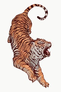 Hand drawn roaring tiger illustration on an off white background