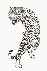 Hand drawn roaring tiger illustration on an off white background