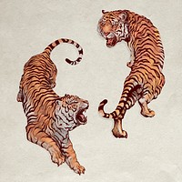 Hand drawn roaring yin yang tigers vector