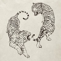 Hand drawn roaring yin yang tigers illustration