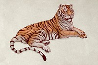 Hand drawn lying tiger vector