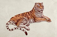 Hand drawn lying tiger illustration