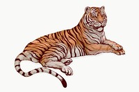 Hand drawn lying tiger illustration on an off white background