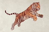 Hand drawn jumping tiger vector