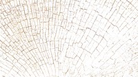 Bleached tree rings blog banner background