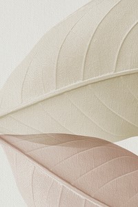 Closeup of beige leaves texture design resource