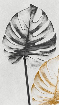 Silver and golden monstera leaf design resource 