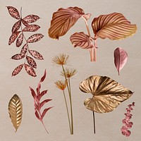 Metallic tropical leaf design element set