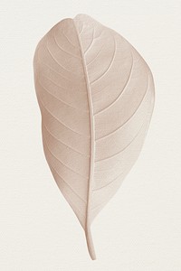 Closeup of pastel leaf design resource