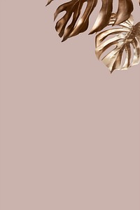 Golden monstera leaves on a pink background vector