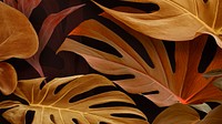 Brown Monstera Deliciosa leaves design resource