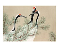 Red-crowned cranes vintage illustration wall art print and poster design remix from the original artwork by Kamisaka Sekka. 