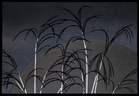 Moon and grasses vintage illustration, remix from original artwork.