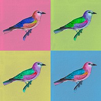 European roller bird vintage illustration set, remix from original artwork.