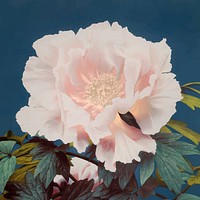 Peony vintage vector artwork, remix from orginal photography.<br /> 