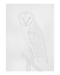Embossed barn owl vintage illustration wall art print and poster design remix from original artwork.
