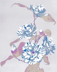 Striped Camellias negative effect vintage illustration artwork, remix from orginal photography.