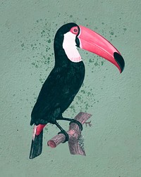Toco toucan vintage vector, remix from original artwork.