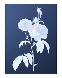 Blue holographic rose vintage wall art print poster design remix from original artwork by Pierre-Joseph Redout&eacute;.