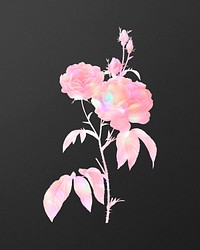 Pink holographic rose vintage wall art print poster design remix from original artwork by Pierre-Joseph Redout&eacute;.