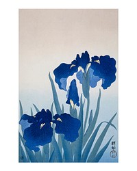 Iris flowers vintage illustration wall art print and poster design remix from original artwork by Ohara Koson. Digitally drawing by rawpixel.