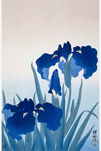 Iris flowers vintage wall art print and poster design remix from original artwork by Ohara Koson. Digitally enhanced and vectorized by rawpixel.