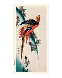 Pheasant and small pine vintage illustration wall art print and poster design remix from original artwork.