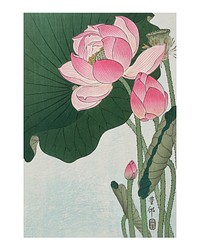 Blooming lotus vintage illustration wall art print and poster design remix from original artwork by Ohara Koson. Digitally drawing by rawpixel.