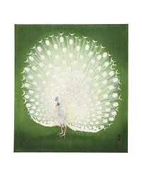 Peacock vintage illustration by Ohara Koson. Digitally enhanced by rawpixel.