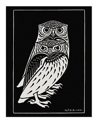 Two owls vintage illustration wall art print and poster design remix from original artwork.