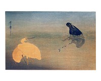 Cormorant catching fish and two white herons vintage illustration wall art print and poster design remix from the original artwork.