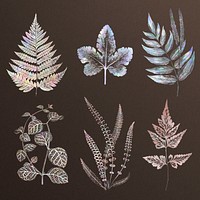 Holographic fern set design resources