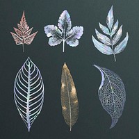 Shimmering leaves vector set botanical design element