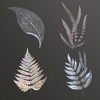 Holographic fern set design resources