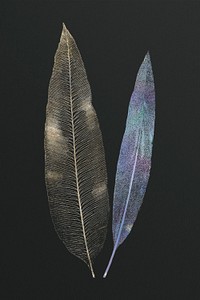 Shimmering golden fern leaf design resources
