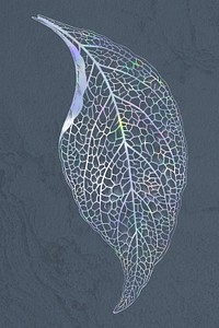 Holographic fittonia leaf design resource 
