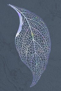 Holographic nerve plant leaf vector on texture green background