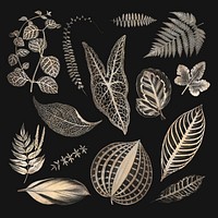 Shimmering golden fern leaves set design resources 