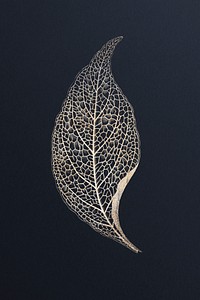 Golden fittonia leaf design resource 