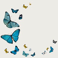 Vintage Common Blue butterflies illustrations with a copy space