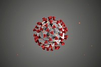 Coronavirus on a gray background